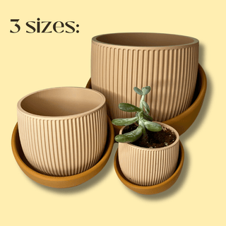 The Eero Planter | Stylish 2-Piece Drip Tray Planter Design for Indoor Potting | 3 Sizes Available | Made in USA: Large