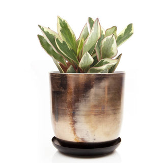 Joe Metal Flower Pots And Planters With Drainage Hole Saucer: White & Copper / 5"