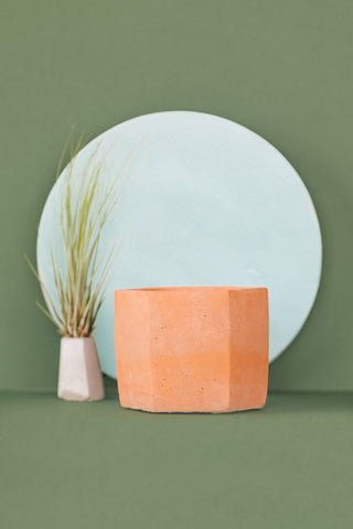 Hexagon Planter - 4": Raw Concrete with White Paint