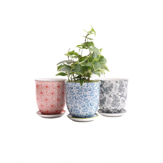 Liberte Indoor Porcelain Plant Pots