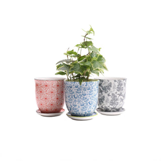 Liberte  Indoor plant pots with drainage 3 & 5 inch planter: Blue Leaves / 4.25"