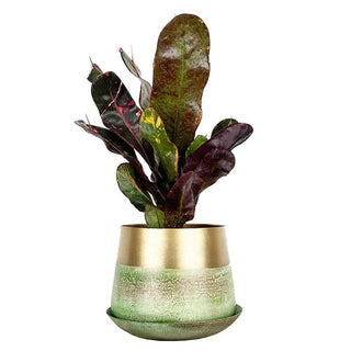 Joe Metal Flower Pots And Planters With Drainage Hole Saucer: White & Copper / 5"