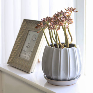 6" Grey Ceramic Contour Planter with Drainage Hole & Saucer