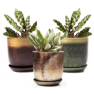 Joe Metal Flower Pots And Planters With Drainage Hole Saucer: White & Copper / 5"