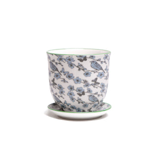 Liberte Indoor Porcelain Plant Pots