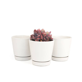 4 inch White Minimalist Pot with Saucer - Pot for Houseplant
