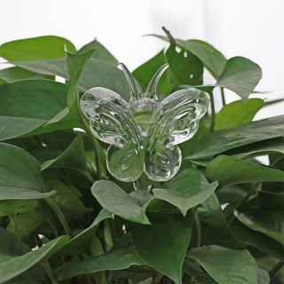 Self-Watering Plant Decor