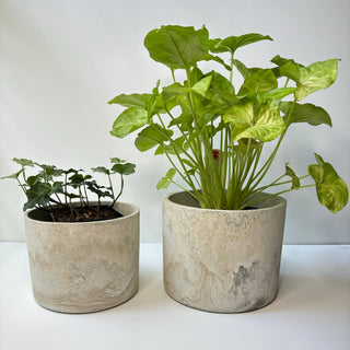 Hera Pot 6.5” Concrete Planter: Khaki Fusion