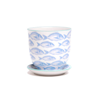 Liberte Indoor Porcelain Plant Pots
