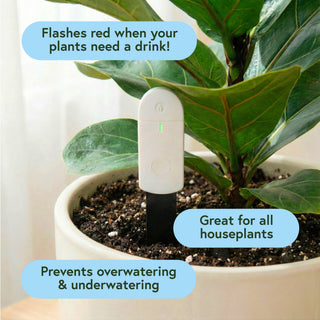 Soil Moisture Meter For Houseplants