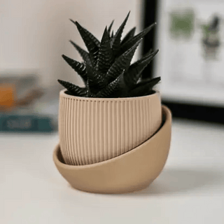 The Eero Planter | Stylish 2-Piece Drip Tray Planter Design for Indoor Potting | 3 Sizes Available | Made in USA: Medium