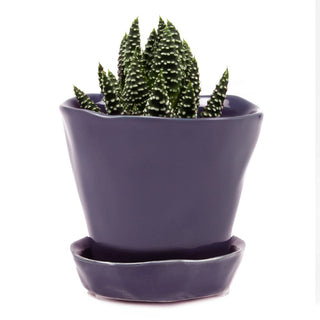 Tika Ceramic Pots and Planters