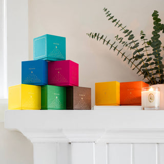 Cacti Signature Soy Candle