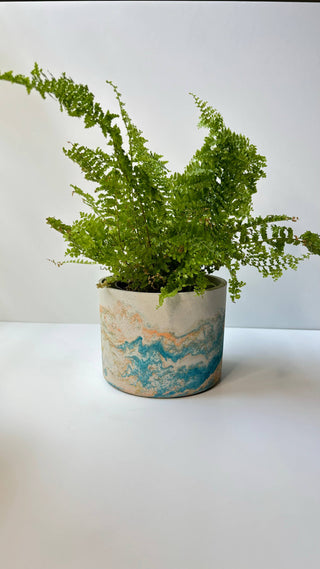Hera Pot 6.5” Concrete Planter: Khaki Fusion