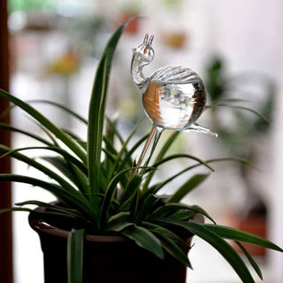 Self-Watering Plant Decor