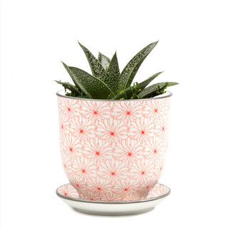 Liberte 3, 3.25" Indoor Plant Pots: Red Birds / 3.25"