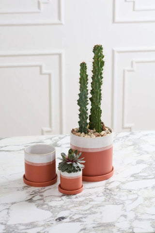 3" Dawn Pot - Succulent Planters With Saucer For Sale
