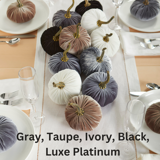 Pumpkin Small Velvet Fall Decor Gift for New Apartment Best: Luxe Brass