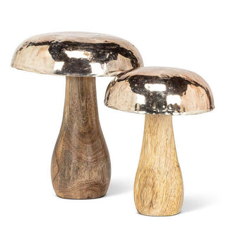 Small Mushroom with Silver Cap