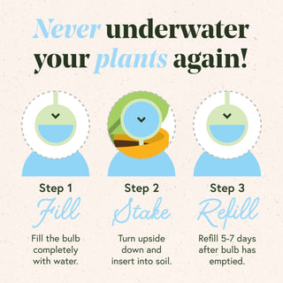 Self-Watering Plant Globes