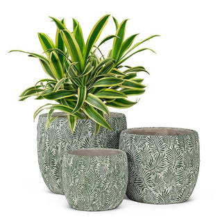 Green Leaf Planter: Medium (7"D)