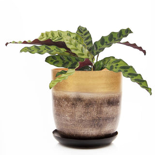 Joe Metal Flower Pots And Planters With Drainage Hole Saucer: White & Copper / 5"