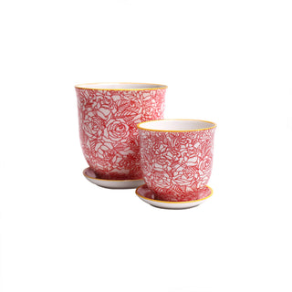 Liberte Indoor Porcelain Plant Pots