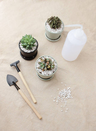 500ml Plastic Squeeze Watering Bottle for Succulent & Cactus: Blue