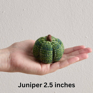 Cozy Knit Pumpkins, variegated yarns, unique autumn colors: 4 inch Sunset