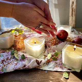Mountain Grove: 2-in-1 Soy Lotion Candle: Medium - 6 oz