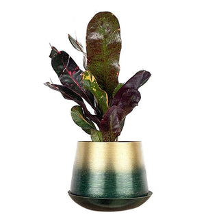 Joe Metal Flower Pots And Planters With Drainage Hole Saucer: White & Copper / 5"