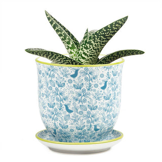 Liberte 3, 3.25" Indoor Plant Pots: Red Birds / 3.25"