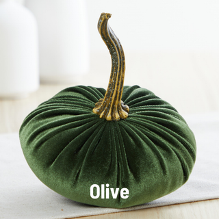 Pumpkin Small Velvet Fall Decor Gift for New Apartment Best: Fall Floral