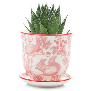 Liberte 3.25" Pot And Saucer - Red Forest Animals