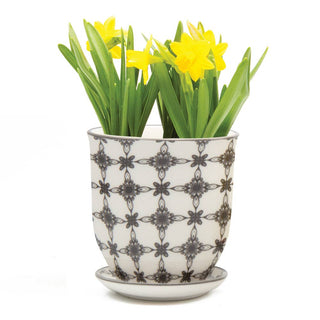 Liberte 3, 3.25" Indoor Plant Pots: Red Birds / 3.25"