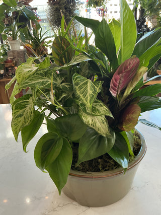 10" Ceramic Dish Garden