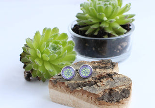Succulent Plant Illustrated Post Earrings