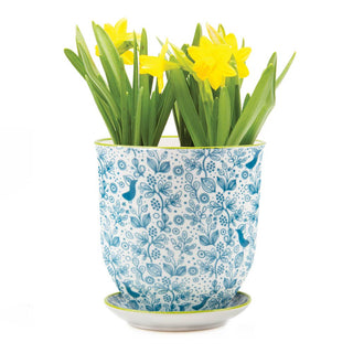 Liberte 3, 3.25" Indoor Plant Pots: Red Birds / 3.25"