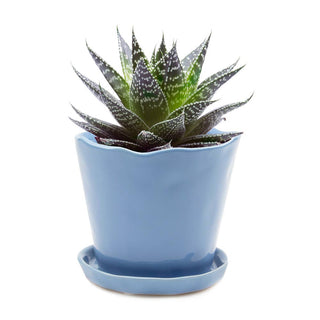 Tika Ceramic Pots and Planters