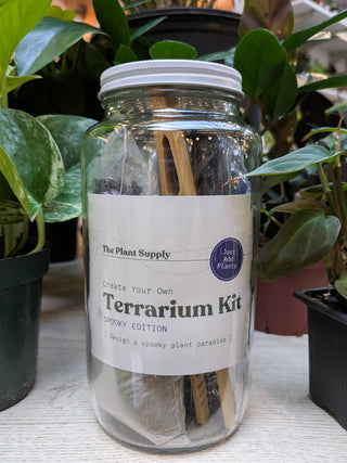 Halloween DIY Terrarium | Fall Plant Craft Kit   Note: plants sold separately.  Click on image to view more photos