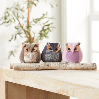 Whimsical velvet owls, charming owl enthusiastic, nature: Teal Owl