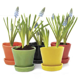Tika Ceramic Pots and Planters