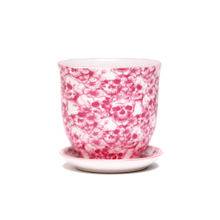 Liberte Indoor Porcelain Plant Pots