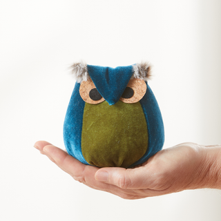 Whimsical velvet owls, charming owl enthusiastic, nature: Teal Owl