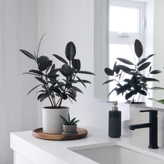Kanso Wheat HuskMini Planter Pot