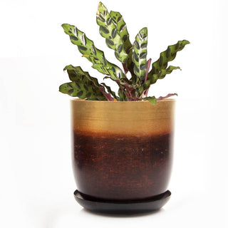Joe Metal Flower Pots And Planters With Drainage Hole Saucer: White & Copper / 5"