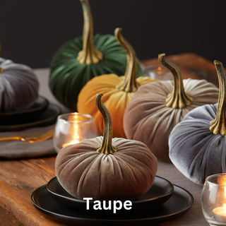Pumpkin Small Velvet Fall Decor Gift for New Apartment Best: Fall Floral