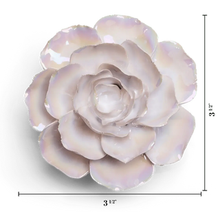 Premium Ceramic Flowers - Handcrafted Box Pearl Ranunculus