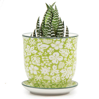 Liberte 3, 3.25" Indoor Plant Pots: Red Birds / 3.25"