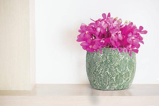 Green Leaf Planter: Medium (7"D)
